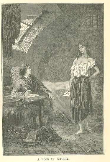 Rose in Misery 3b8-4-rose-in-misery