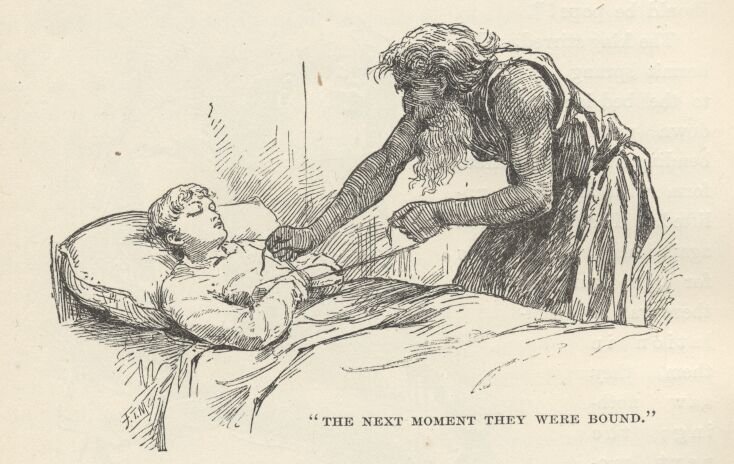 link20-256.jpg (69K)