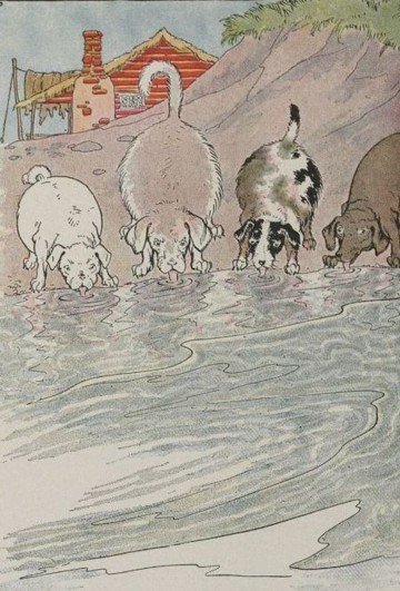 THE DOGS AND THE HIDES