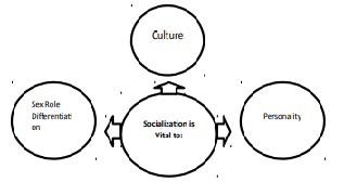 UCSP-11_Q3_Module-5_Socialization.jpg